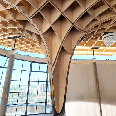 Screws for fibreboard panels and parametric roofs