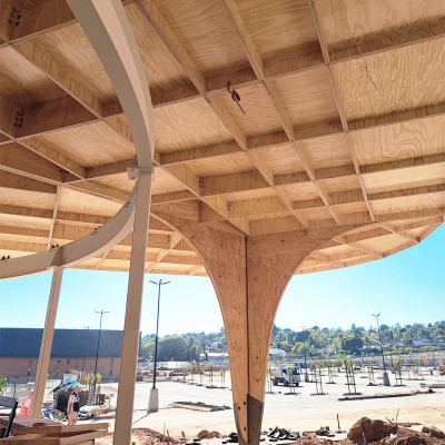 Screws for fibreboard panels and parametric roofs