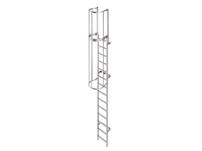 caged-ladders-ladstep
