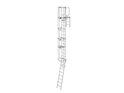 caged-ladders-ladstep