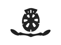 padding-for-helmets-padding