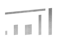 perforated-strap-lbv